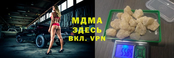 прущие грибы Медвежьегорск