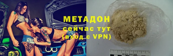 прущие грибы Медвежьегорск