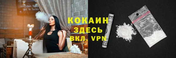 прущие грибы Медвежьегорск
