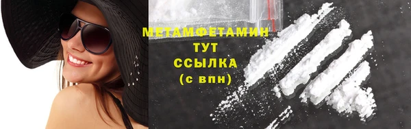 прущие грибы Медвежьегорск