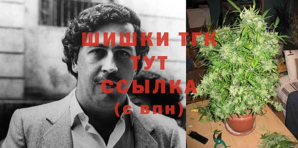 прущие грибы Медвежьегорск
