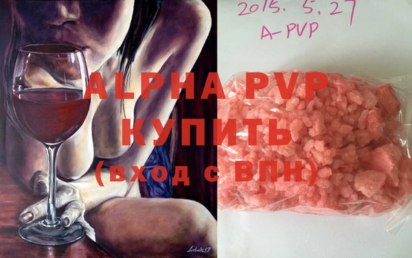 прущие грибы Апатиты