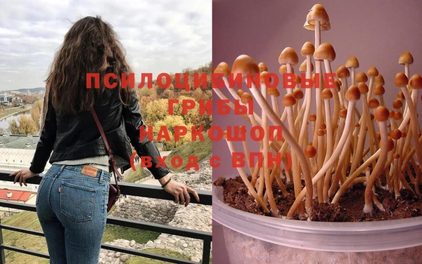 мяу мяу мука Медногорск