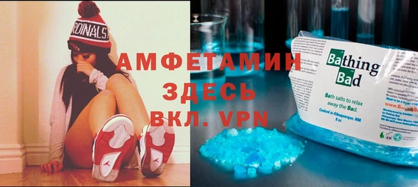 прущие грибы Медвежьегорск