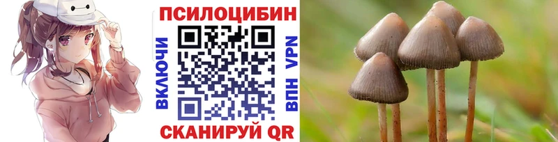 купить наркотик  Балашиха  Псилоцибиновые грибы Cubensis 