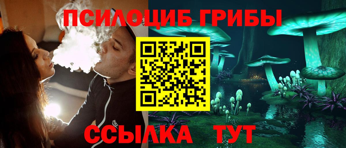 Псилоцибиновые грибы Балашиха