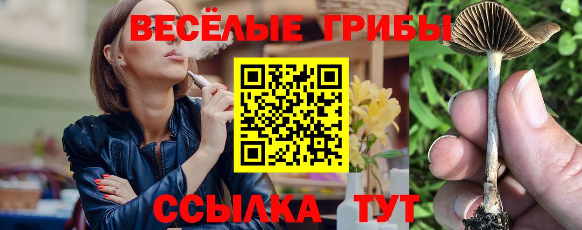 Балашиха  Псилоцибиновые грибы Magic Shrooms  Вход с VPN 