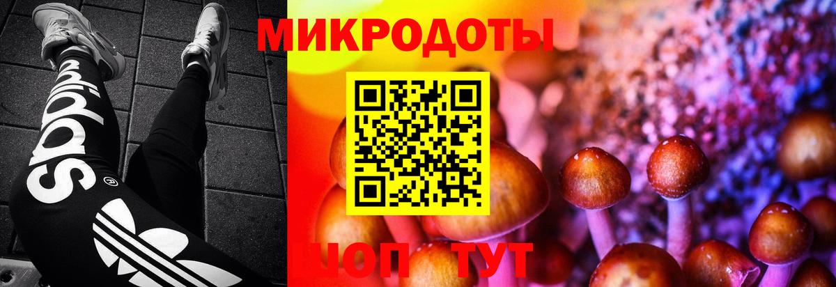Псилоцибиновые грибы MAGIC MUSHROOMS Балашиха